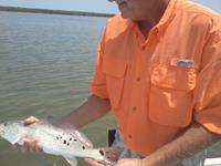 Redfish Roper Fishing Guide - Rockport Port O'Connor and Seadrift.