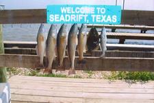 Redfish Roper Fishing Guide - Rockport Port O'Connor and Seadrift.