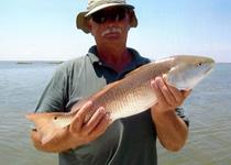 Redfish Roper Fishing Guide - Rockport Port O'Connor and Seadrift.